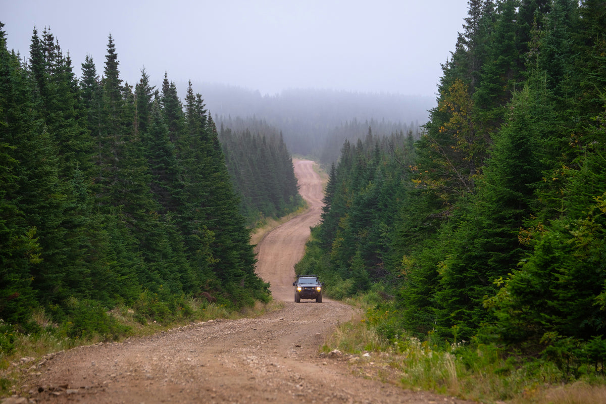 Vehicle traveling on a remote forest road